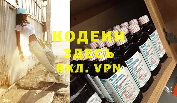 индика Аркадак