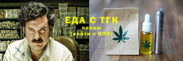 индика Аркадак