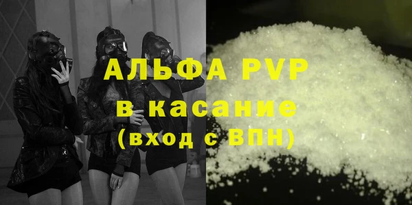 индика Аркадак