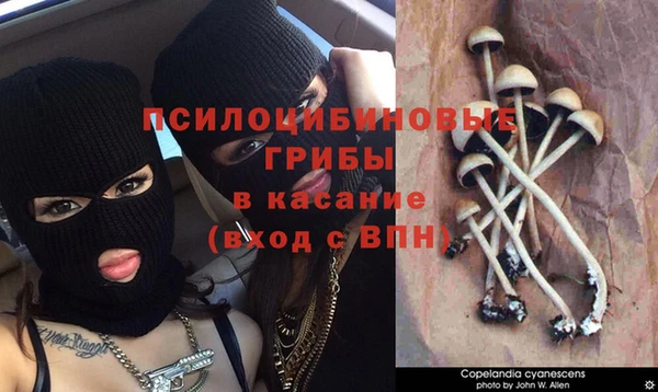 MDMA Premium VHQ Балабаново