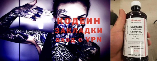индика Аркадак
