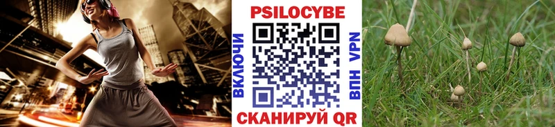 Псилоцибиновые грибы прущие грибы  kraken маркетплейс  Ельня  купить  цена 
